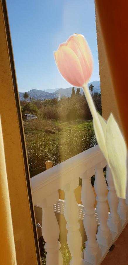 Apartamento Mar y Sol, Dénia Esterno foto